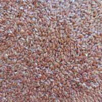 Flaxseed