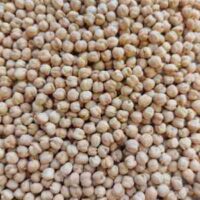 Kabuli Chickpeas