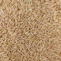 Oats