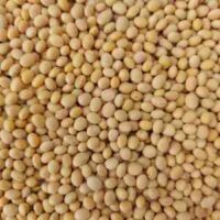 Soybeans