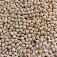 Kabuli Chickpeas