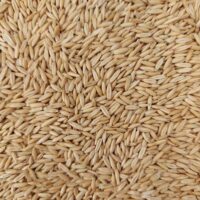 Oats