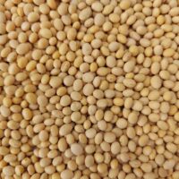 Soybeans