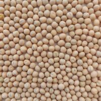 Yellow Peas